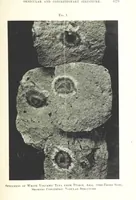 Picture 2 of 28 from Articles on the geology of North America and other subjects, reprinted from various periodicals (1855), leaf 103