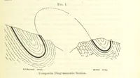 An illustration from Articles on the geology of North America and other subjects, reprinted from various periodicals (1855)