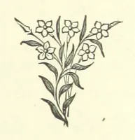 An illustration from Antionette. A tale of the ancien régime (1888)