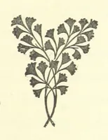 An illustration from Antionette. A tale of the ancien régime (1888)
