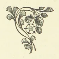 An illustration from Antionette. A tale of the ancien régime (1888)
