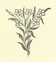 An illustration from Antionette. A tale of the ancien régime (1888)