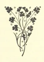 An illustration from Antionette. A tale of the ancien régime (1888)