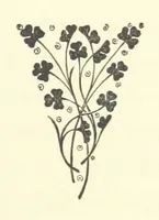 An illustration from Antionette. A tale of the ancien régime (1888)