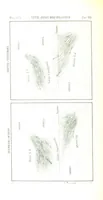 Picture 34 of 119 from Fisica del globo. Spazi, climi e meteore. Corso completo di geografia fisica e di meteorologia, etc (1868), leaf 298