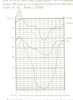 An illustration from Fisica del globo. Spazi, climi e meteore. Corso completo di geografia fisica e di meteorologia, etc (1868)