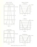Picture 58 of 119 from Fisica del globo. Spazi, climi e meteore. Corso completo di geografia fisica e di meteorologia, etc (1868), leaf 399