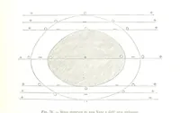 An illustration from Fisica del globo. Spazi, climi e meteore. Corso completo di geografia fisica e di meteorologia, etc (1868)