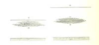 An illustration from Fisica del globo. Spazi, climi e meteore. Corso completo di geografia fisica e di meteorologia, etc (1868)