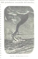 An illustration from Fisica del globo. Spazi, climi e meteore. Corso completo di geografia fisica e di meteorologia, etc (1868)