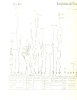 Picture 112 of 119 from Fisica del globo. Spazi, climi e meteore. Corso completo di geografia fisica e di meteorologia, etc (1868), leaf 728