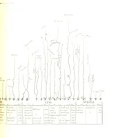 An illustration from Fisica del globo. Spazi, climi e meteore. Corso completo di geografia fisica e di meteorologia, etc (1868)