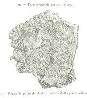 An illustration from Fisica del globo. Spazi, climi e meteore. Corso completo di geografia fisica e di meteorologia, etc (1868)