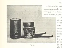 Picture 24 of 91 from Viaggi d'un artista nell'America Meridionale. I Caduvei, Mbayá o Guaycurú. Con prefazione ed uno studio storico ed etnografico del Dott. G. A. Colini. 112 figure, etc (1895), leaf 111