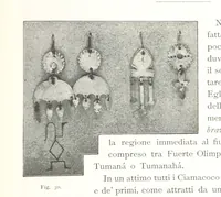 Picture 25 of 91 from Viaggi d'un artista nell'America Meridionale. I Caduvei, Mbayá o Guaycurú. Con prefazione ed uno studio storico ed etnografico del Dott. G. A. Colini. 112 figure, etc (1895), leaf 113