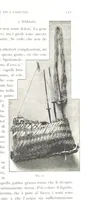 Picture 40 of 91 from Viaggi d'un artista nell'America Meridionale. I Caduvei, Mbayá o Guaycurú. Con prefazione ed uno studio storico ed etnografico del Dott. G. A. Colini. 112 figure, etc (1895), leaf 141