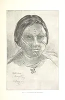 Picture 55 of 91 from Viaggi d'un artista nell'America Meridionale. I Caduvei, Mbayá o Guaycurú. Con prefazione ed uno studio storico ed etnografico del Dott. G. A. Colini. 112 figure, etc (1895), leaf 185