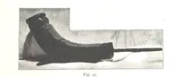 Picture 73 of 91 from Viaggi d'un artista nell'America Meridionale. I Caduvei, Mbayá o Guaycurú. Con prefazione ed uno studio storico ed etnografico del Dott. G. A. Colini. 112 figure, etc (1895), leaf 229