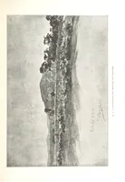 An illustration from Viaggi d'un artista nell'America Meridionale. I Caduvei, Mbayá o Guaycurú. Con prefazione ed uno studio storico ed etnografico del Dott. G. A. Colini. 112 figure, etc (1895)