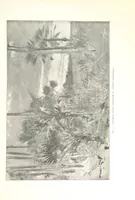 An illustration from Viaggi d'un artista nell'America Meridionale. I Caduvei, Mbayá o Guaycurú. Con prefazione ed uno studio storico ed etnografico del Dott. G. A. Colini. 112 figure, etc (1895)