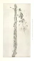 An illustration from Viaggi d'un artista nell'America Meridionale. I Caduvei, Mbayá o Guaycurú. Con prefazione ed uno studio storico ed etnografico del Dott. G. A. Colini. 112 figure, etc (1895)