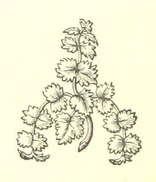 An illustration from Handy-Book of Rules and Tables for verifying dates of historical events and of public and private documents; giving tables of regnal years of English sovereigns ... from the Conquest to the present time, 1066-1866. [With a perpetual calendar (1875)
