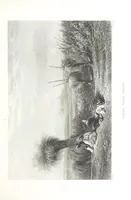 An illustration from Australia ... Illustrated with drawings by Skinner Prout, N. Chevalier, etc. [With maps (1873)