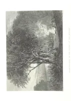 An illustration from Australia ... Illustrated with drawings by Skinner Prout, N. Chevalier, etc. [With maps (1873)