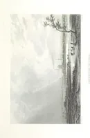 An illustration from Australia ... Illustrated with drawings by Skinner Prout, N. Chevalier, etc. [With maps (1873)