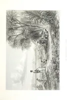 An illustration from Australia ... Illustrated with drawings by Skinner Prout, N. Chevalier, etc. [With maps (1873)
