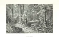 Picture 72 of 126 from Australia ... Illustrated with drawings by Skinner Prout, N. Chevalier, etc. [With maps (1873), leaf 287