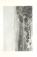 An illustration from Australia ... Illustrated with drawings by Skinner Prout, N. Chevalier, etc. [With maps (1873)