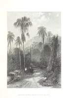 Picture 82 of 126 from Australia ... Illustrated with drawings by Skinner Prout, N. Chevalier, etc. [With maps (1873), leaf 325