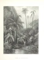 An illustration from Australia ... Illustrated with drawings by Skinner Prout, N. Chevalier, etc. [With maps (1873)