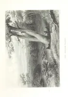 An illustration from Australia ... Illustrated with drawings by Skinner Prout, N. Chevalier, etc. [With maps (1873)