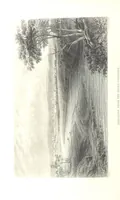 An illustration from Australia ... Illustrated with drawings by Skinner Prout, N. Chevalier, etc. [With maps (1873)