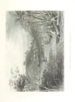 An illustration from Australia ... Illustrated with drawings by Skinner Prout, N. Chevalier, etc. [With maps (1873)