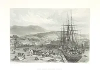 Picture 111 of 126 from Australia ... Illustrated with drawings by Skinner Prout, N. Chevalier, etc. [With maps (1873), leaf 455
