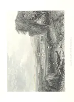 An illustration from Australia ... Illustrated with drawings by Skinner Prout, N. Chevalier, etc. [With maps (1873)