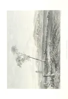 An illustration from Australia ... Illustrated with drawings by Skinner Prout, N. Chevalier, etc. [With maps (1873)
