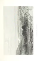An illustration from Australia ... Illustrated with drawings by Skinner Prout, N. Chevalier, etc. [With maps (1873)