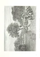 An illustration from Australia ... Illustrated with drawings by Skinner Prout, N. Chevalier, etc. [With maps (1873)