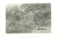 Picture 21 of 126 from Australia ... Illustrated with drawings by Skinner Prout, N. Chevalier, etc. [With maps (1873), leaf 88
