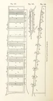An illustration from Electric Smelting and Refining ... Being the second edition of “Elektro-Metallurgie” ... Translated, with additions, by Walter G. M'Millan, etc (1897)