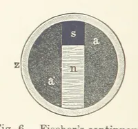 Picture 5 of 144 from Electric Smelting and Refining ... Being the second edition of “Elektro-Metallurgie” ... Translated, with additions, by Walter G. M'Millan, etc (1897), leaf 44
