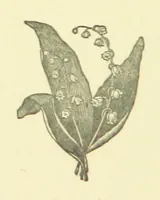 An illustration from The Poetical Works of Sir Alexander Boswell ... Now first collected and edited, with memoir, by Robert Howie Smith (1871)