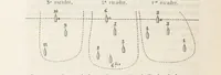 An illustration from Bataille de terre et de mer jusques et y compris la bataille de l'Alma, etc (1855)