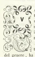 Picture 33 of 86 from Usi e costumi di Napoli e contorni descritti e dipinti. Opera diretta da F. de Bourcard (1853), leaf 157