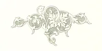 Picture 2 of 112 from Musings in Maoriland ... [In verse.] With an historical sketch by Sir Robert Stout and preface by Sir George Grey. Illustrated, etc (1890), leaf 12