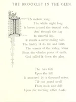 Picture 35 of 112 from Musings in Maoriland ... [In verse.] With an historical sketch by Sir Robert Stout and preface by Sir George Grey. Illustrated, etc (1890), leaf 143